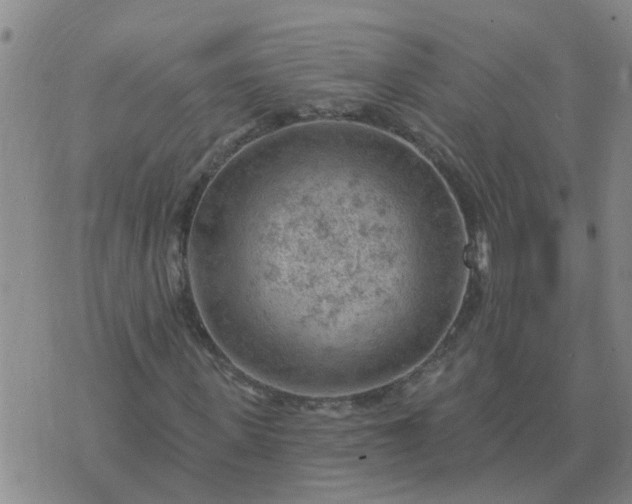 X0000074340915200609082053