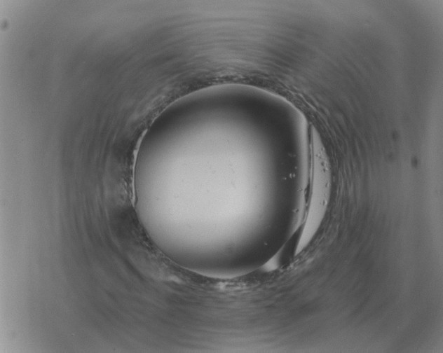 X0000074340916200609082053