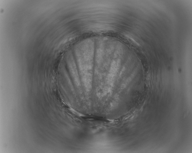 X0000074340917200609082053