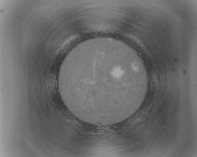 X0000074340918200609082053