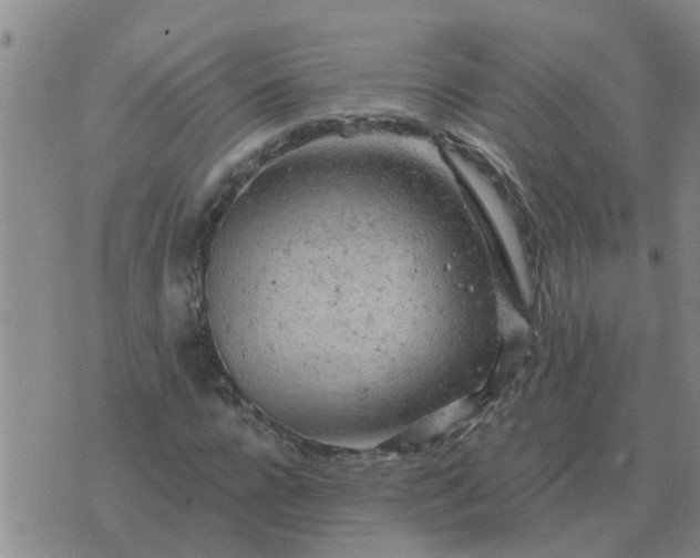 X0000074340920200609082053