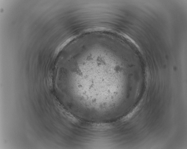 X0000074340921200609082053