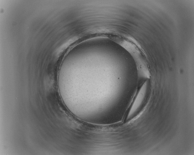 X0000074340922200609082053