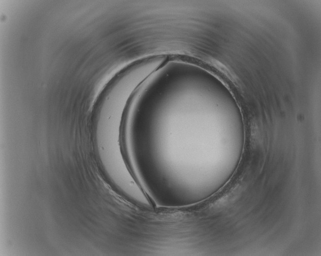 X0000074340926200609082053