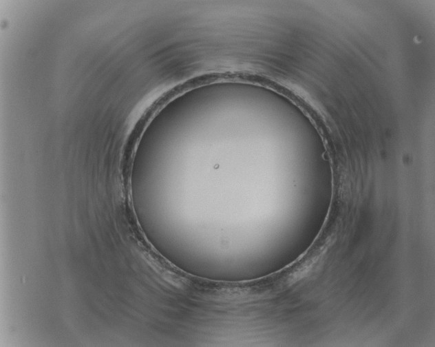 X0000074340927200609082053