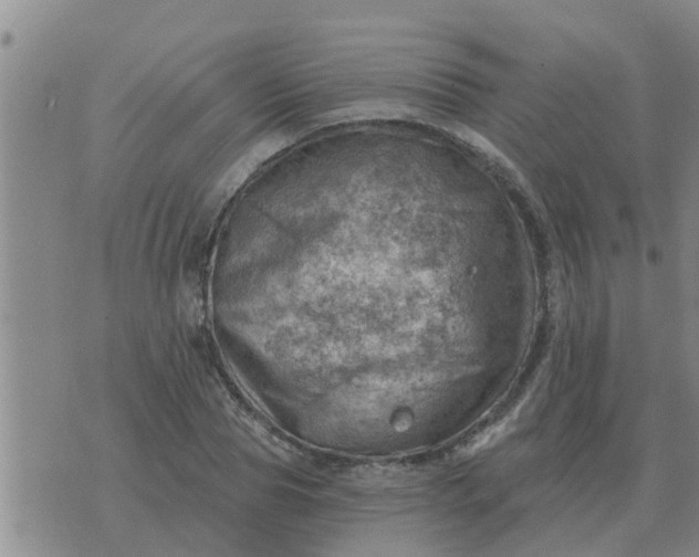 X0000074340929200609082053