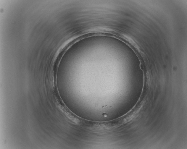 X0000074340931200609082053