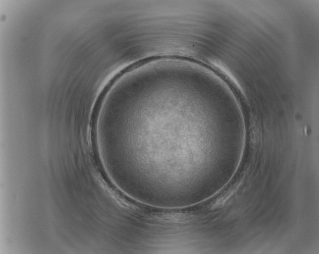 X0000074340932200609082053