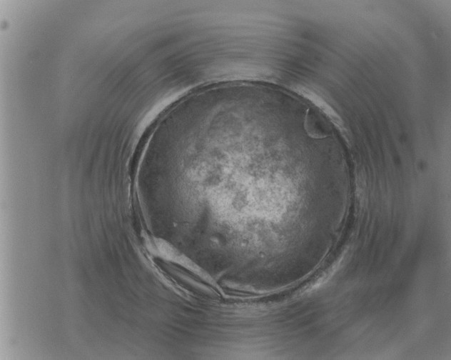 X0000074340933200609082053