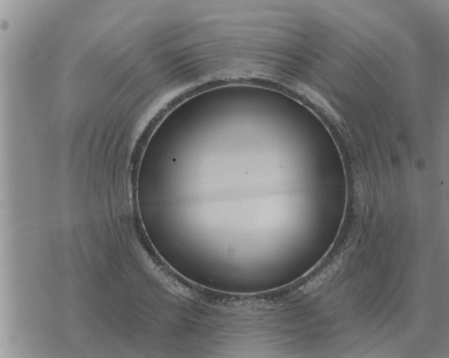 X0000074340934200609082053