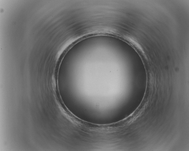 X0000074340936200609082053