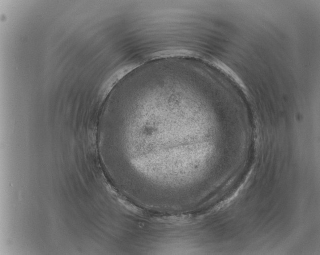 X0000074340937200609082053