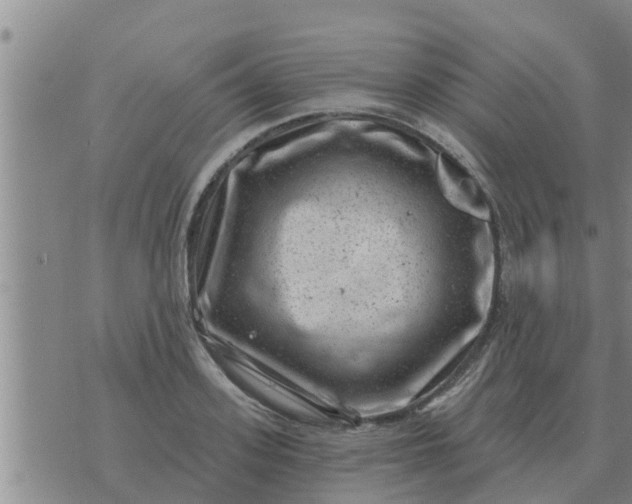 X0000074340939200609082053