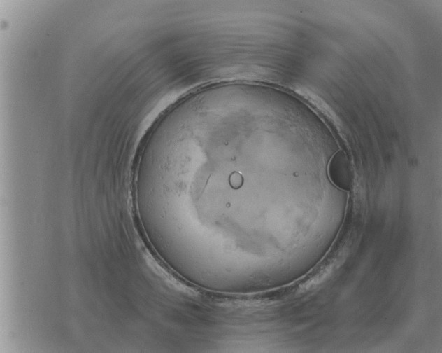 X0000074340941200609082053