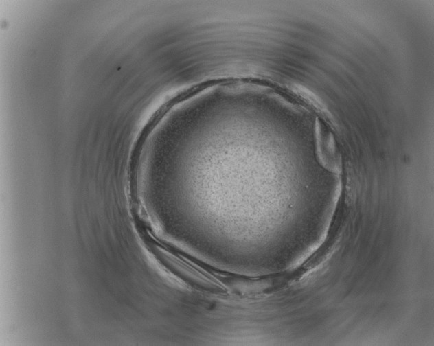 X0000074340942200609082054