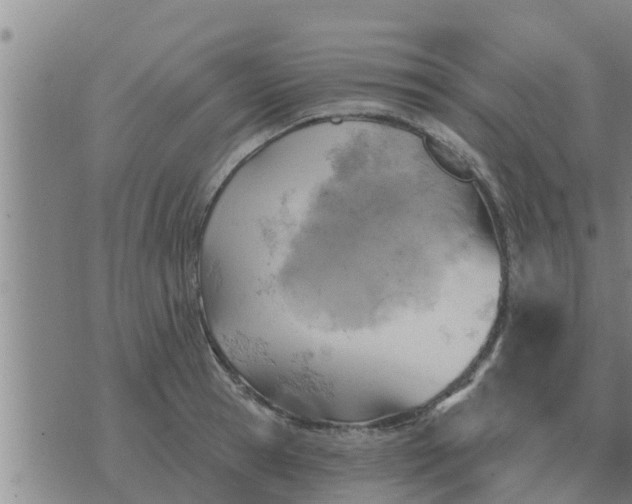 X0000074340945200609082054