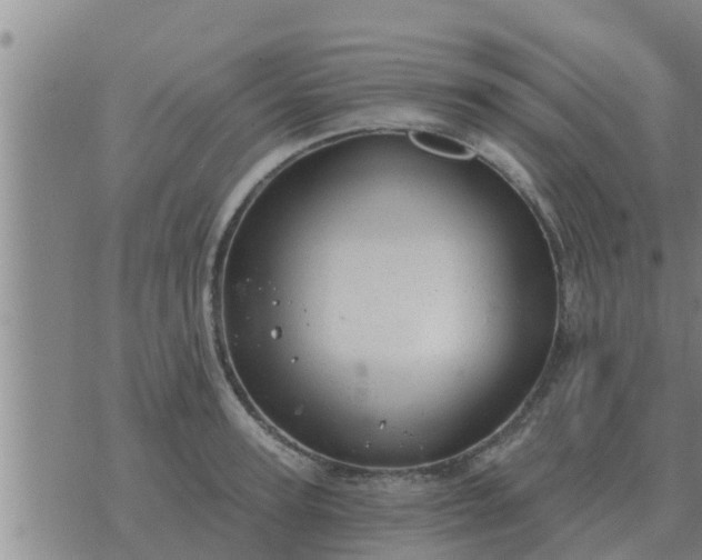 X0000074340947200609082054