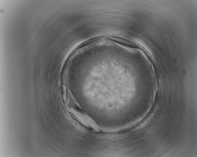 X0000074340948200609082054