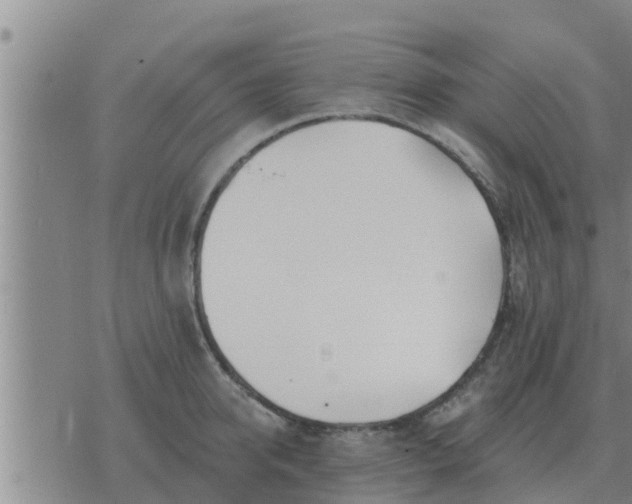 X0000074340950200609082054