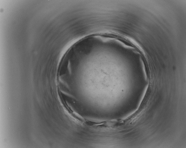 X0000074340951200609082054