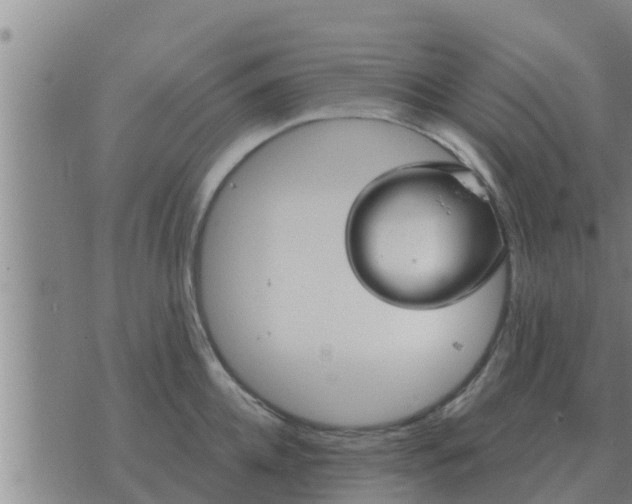 X0000074340952200609082054