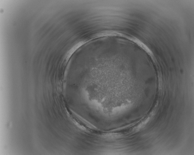 X0000074340953200609082054