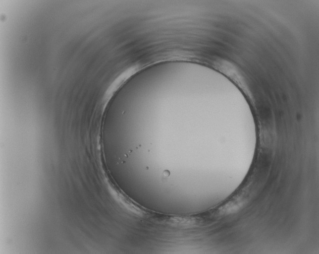 X0000074340954200609082054