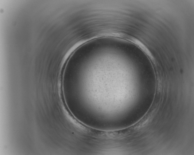 X0000074340955200609082054