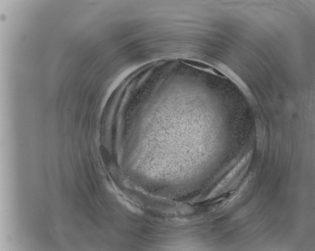 X0000074340956200609082054