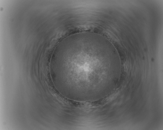 X0000074340961200609082053