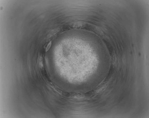 X0000074340962200609082053