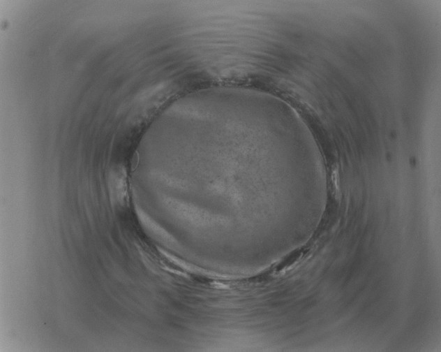 X0000074340963200609082053