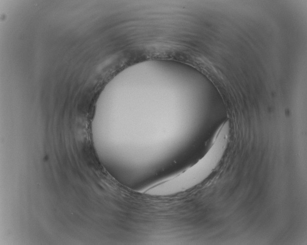 X0000074340964200609082053