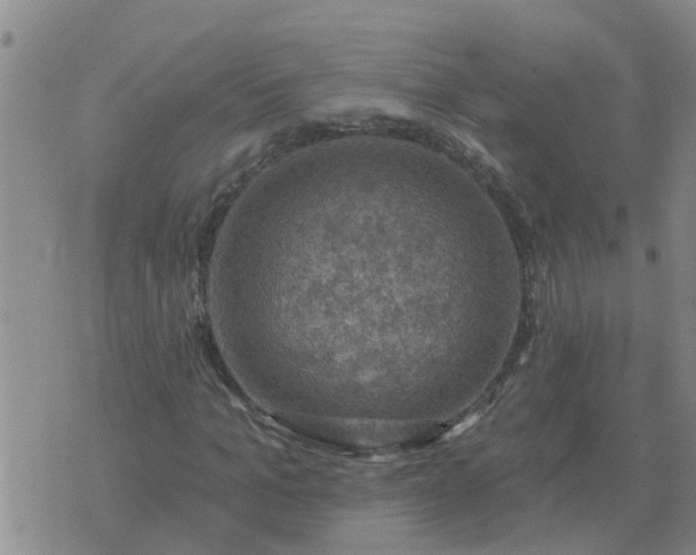 X0000074340965200609082053