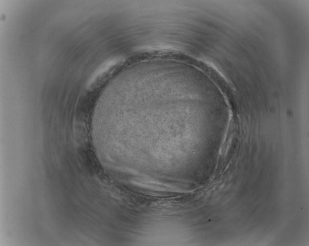 X0000074340967200609082053