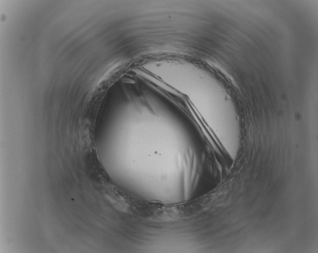 X0000074340968200609082053