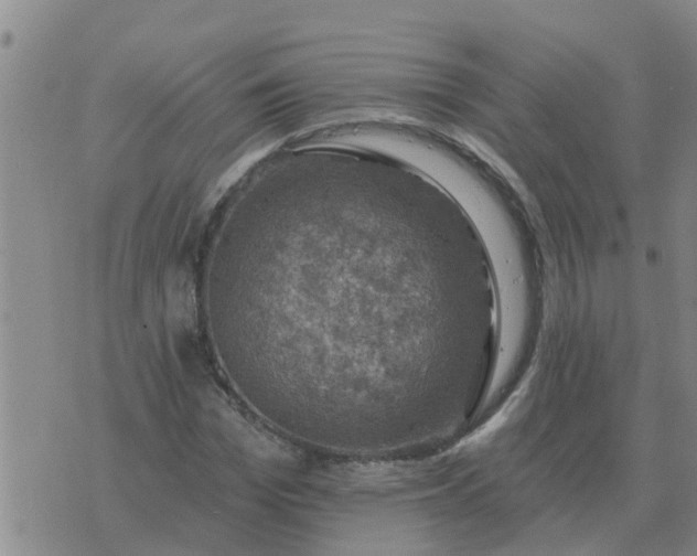 X0000074340969200609082053