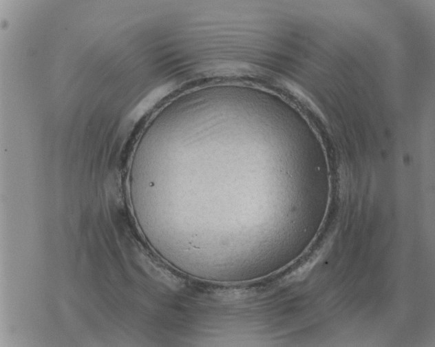 X0000074340970200609082053