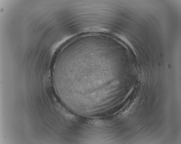 X0000074340971200609082053