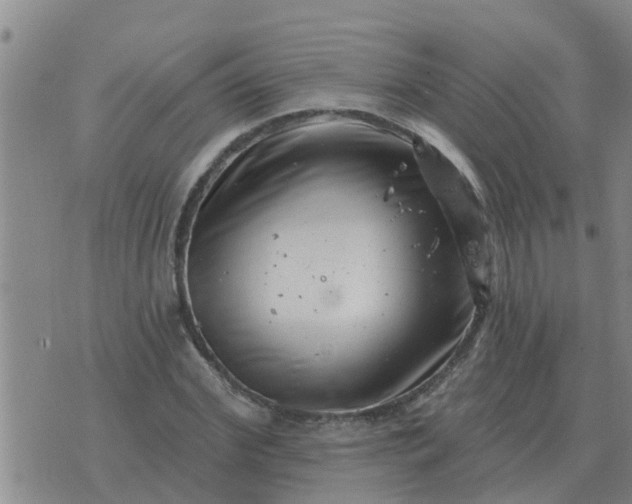 X0000074340972200609082053