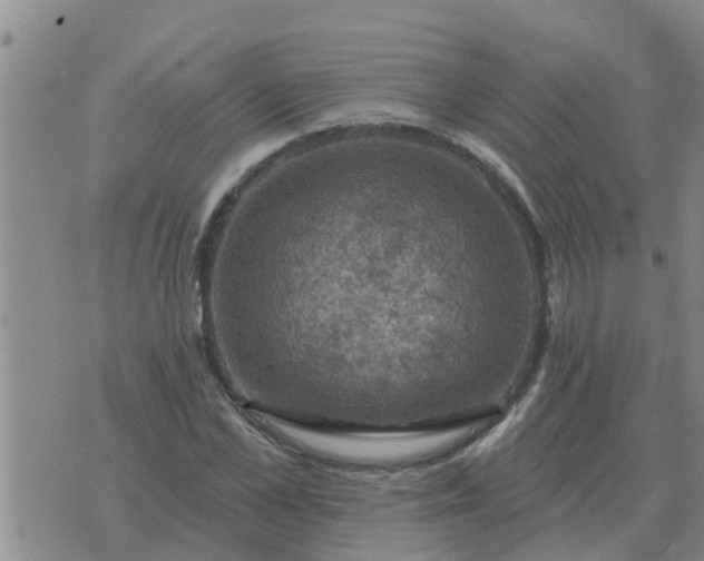 X0000074340973200609082053