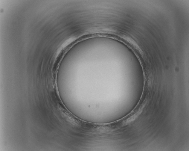 X0000074340974200609082053