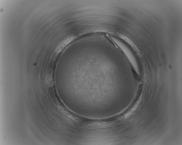 X0000074340977200609082053