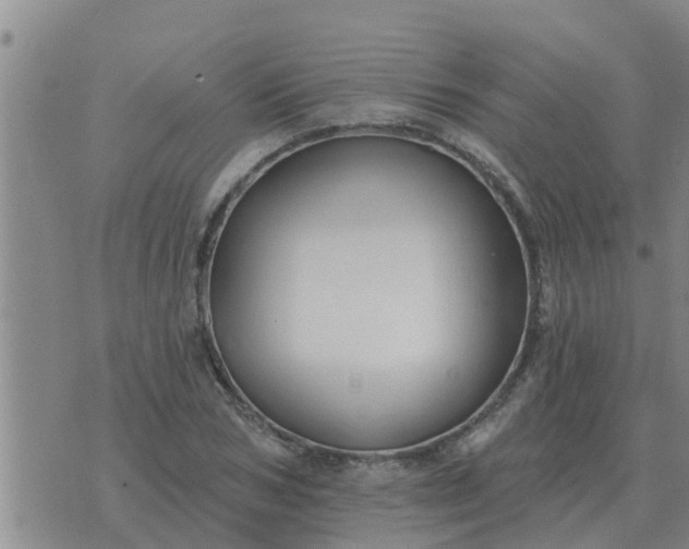 X0000074340978200609082053