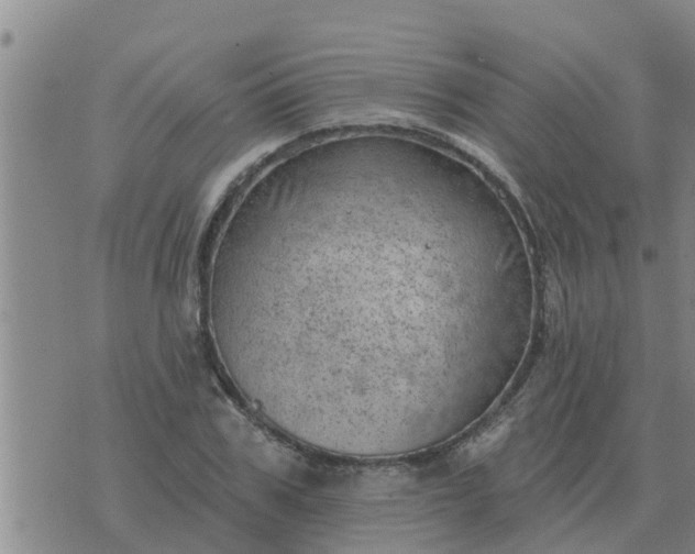 X0000074340979200609082053