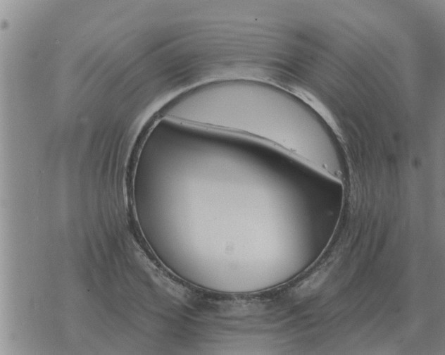 X0000074340980200609082053