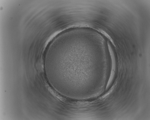 X0000074340981200609082053