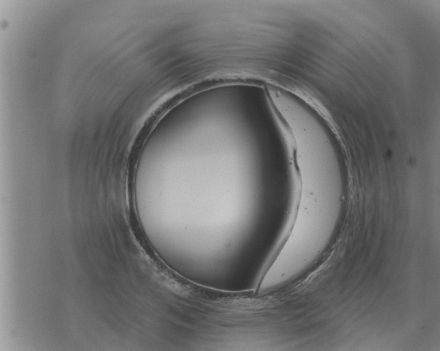 X0000074340984200609082053