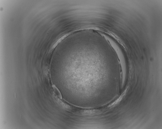 X0000074340985200609082053