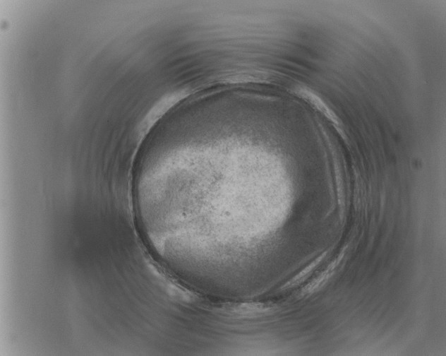 X0000074340986200609082053